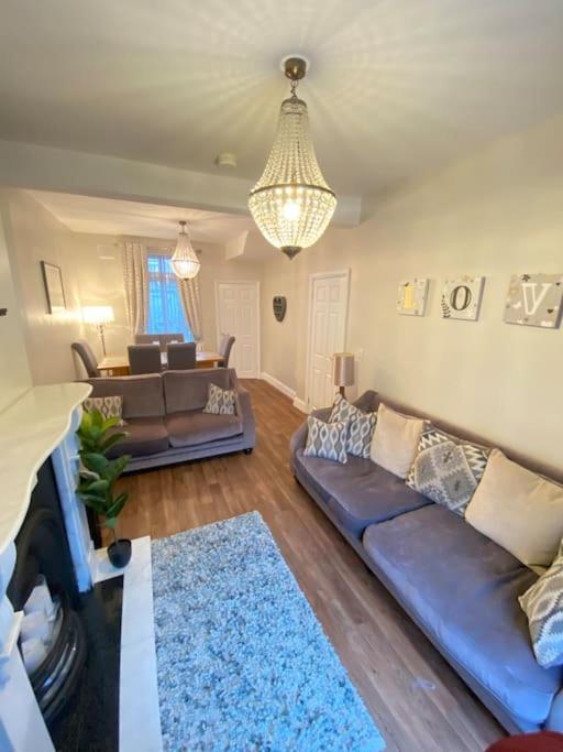 The Cozy Homestay Belfast