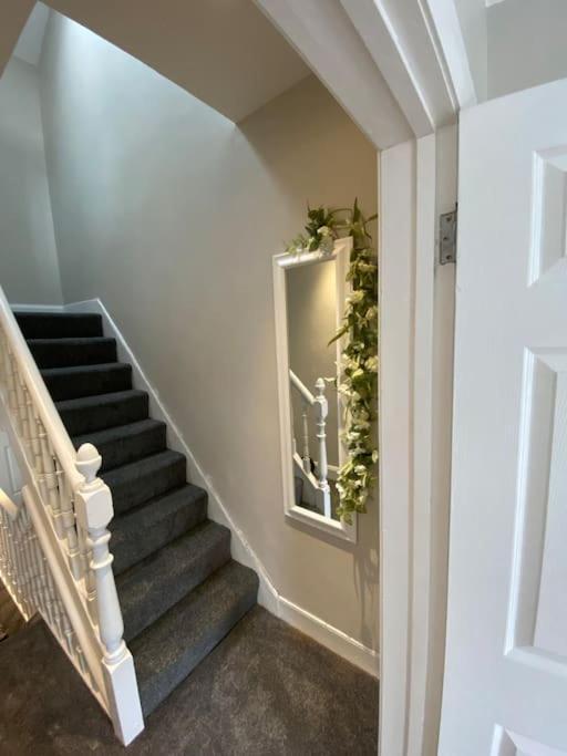 The Cozy Homestay * Belfast